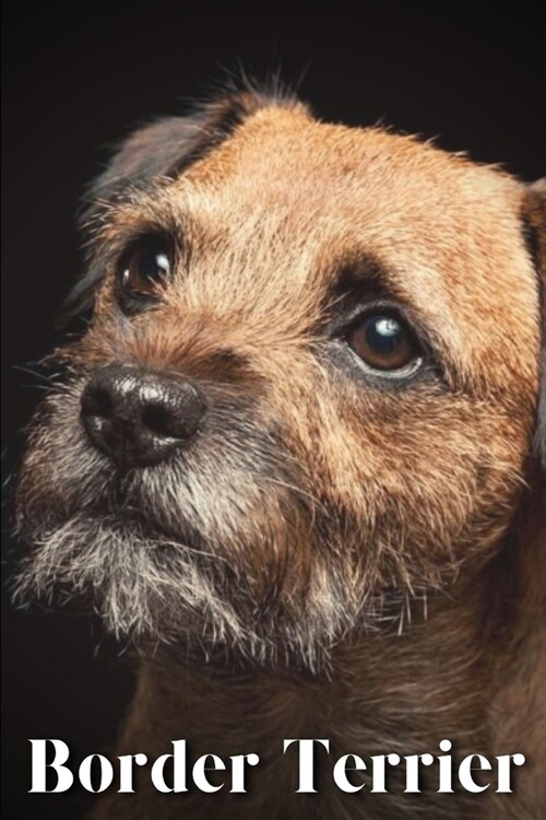 Border Terrier: Dog breed overview and guide (Paperback)