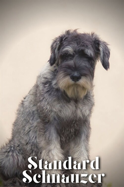 Standard Schnauzer: Dog breed overview and guide (Paperback)