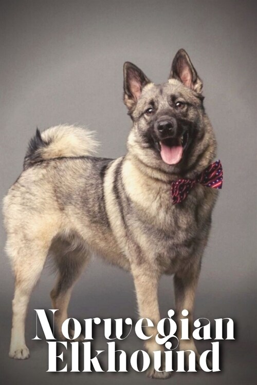 Norwegian Elkhound: Dog breed overview and guide (Paperback)