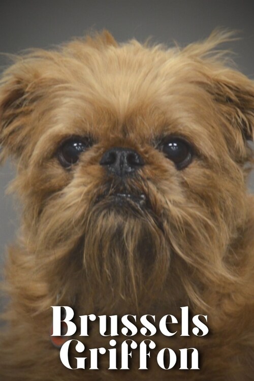 Brussels Griffon: Dog breed overview and guide (Paperback)