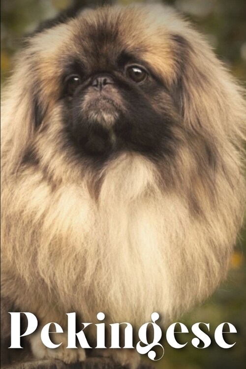 Pekingese: Dog breed overview and guide (Paperback)