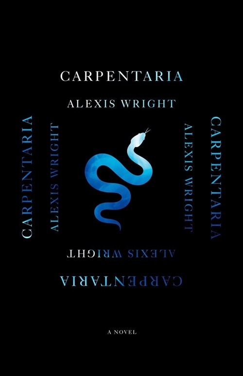 Carpentaria (Paperback)