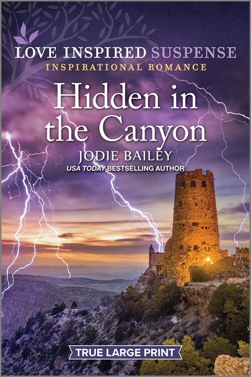 Hidden in the Canyon (Paperback, Original)