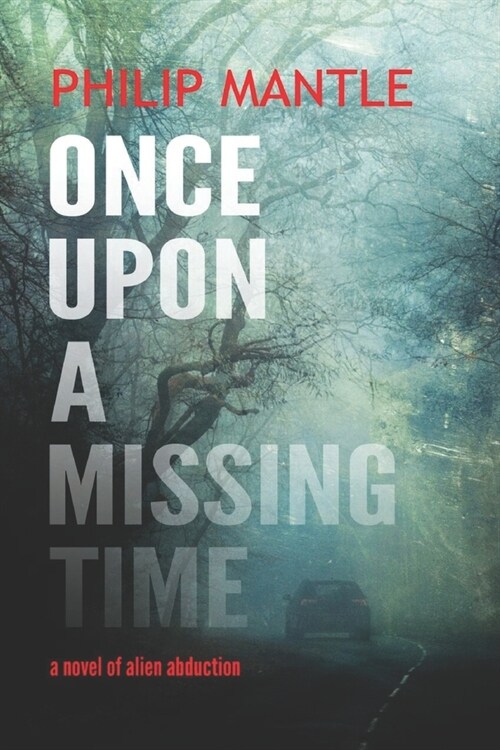 Once Upon a Missing Time (Paperback)