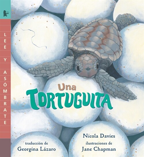 Una Tortuguita: Read and Wonder (Paperback)