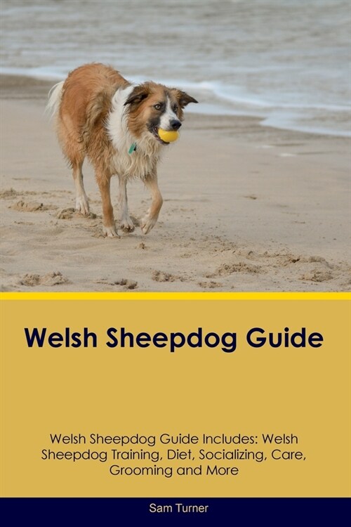 Welsh Sheepdog Guide Welsh Sheepdog Guide Includes: Welsh Sheepdog Training, Diet, Socializing, Care, Grooming, Breeding and More (Paperback)