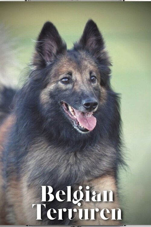 Belgian Tervuren: Dog breed overview and guide (Paperback)