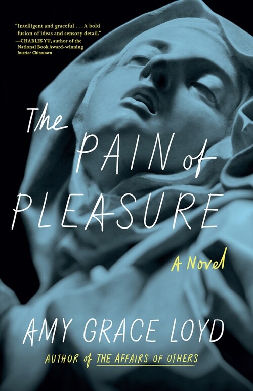 The Pain of Pleasure (Paperback)