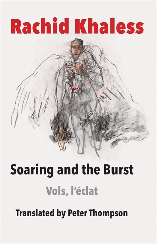 Soaring and the Burst (Paperback)