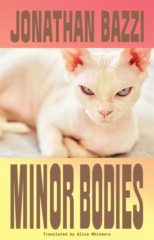 Minor Bodies (Paperback)