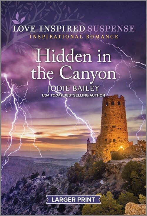 Hidden in the Canyon (Mass Market Paperback, Original)