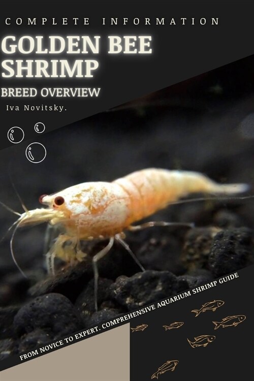 Golden Bee Shrimp: From Novice to Expert. Comprehensive Aquarium shrimp Guide (Paperback)