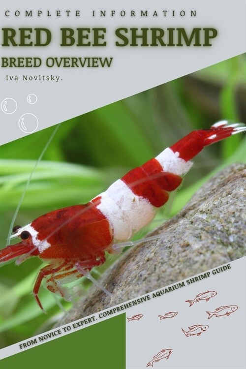 Red Bee Shrimp: From Novice to Expert. Comprehensive Aquarium shrimp Guide (Paperback)