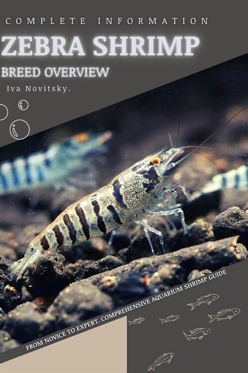 Zebra Shrimp: From Novice to Expert. Comprehensive Aquarium shrimp Guide (Paperback)