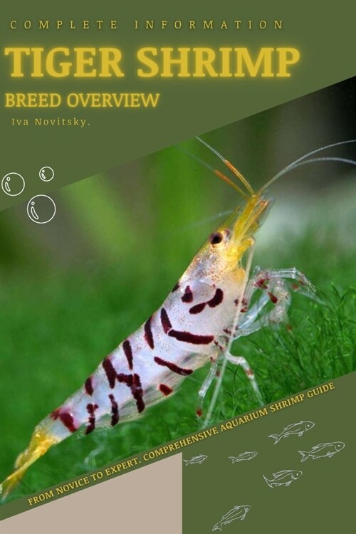 Tiger Shrimp: From Novice to Expert. Comprehensive Aquarium shrimp Guide (Paperback)
