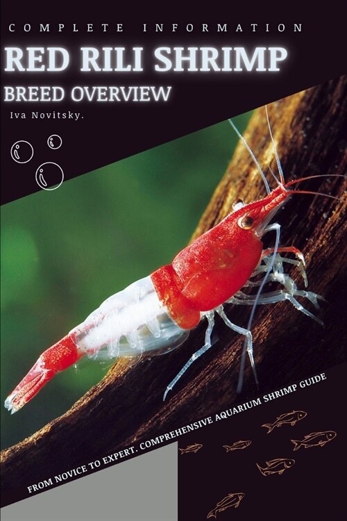 Red Rili Shrimp: From Novice to Expert. Comprehensive Aquarium shrimp Guide (Paperback)
