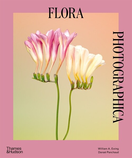 Flora Photographica (Paperback)