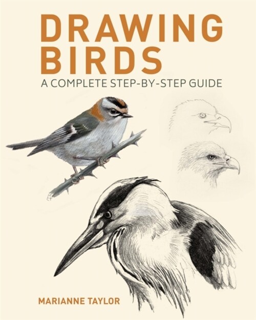 Drawing Birds : A Complete Step-by-Step Guide (Paperback)