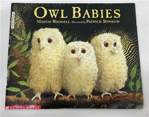 [중고] Owl Babies (Paperback, 미국판)