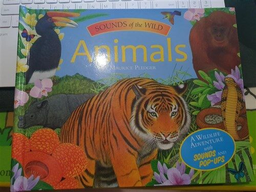 [중고] Sounds of the Wild: Animals (Hardcover)