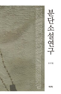 분단소설연구 커버