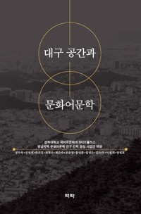대구 공간과 문화어 문학 커버