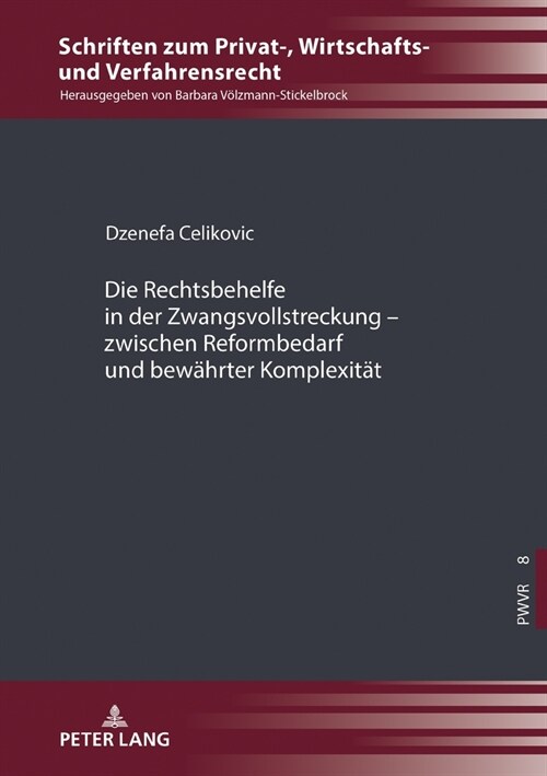 Die Rechtsbehelfe in Der Zwangsvollstreckung - Zwischen Reformbedarf Und Bewaehrter Komplexitaet (Hardcover)