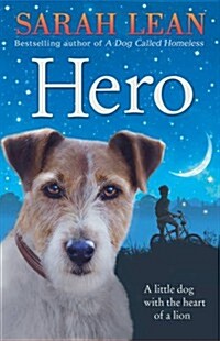 Hero (Paperback)