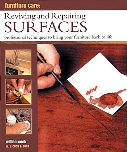 Furniture Care: Reviving and Repairing Surfaces : Professional Techniques to Bring Your Furniture Back to Life (Hardcover)