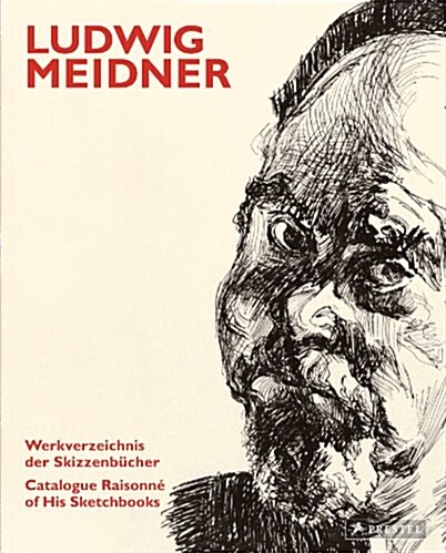 Ludwig Meidner: Catalogue Raisonne of His Sketchbooks (Hardcover)