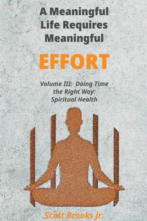 A Meaningful Life Requires Meaningful Effort (Paperback)