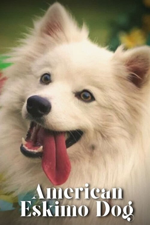 American Eskimo Dog: Dog breed overview and guide (Paperback)