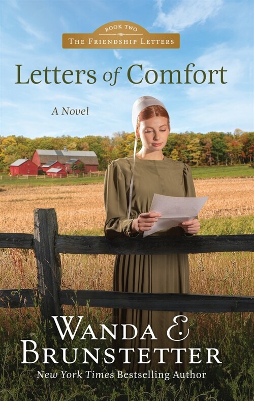 Letters of Comfort (Library Binding)