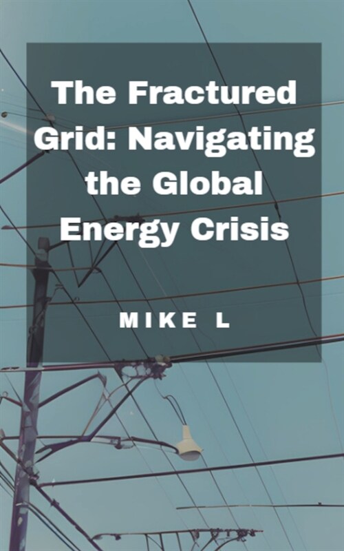 The Fractured Grid: Navigating the Global Energy Crisis (Paperback)