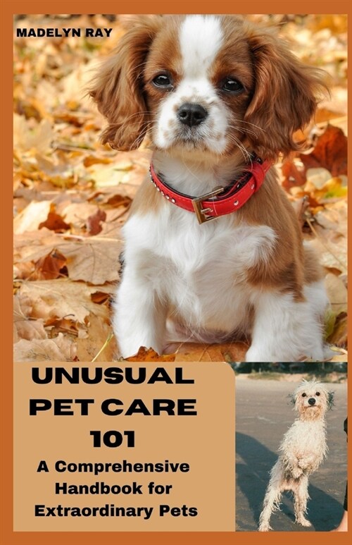 Unusual Pet Care 101: A Comprehensive Handbook for Extraordinary Pets (Paperback)