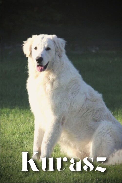 Kuvasz: Dog breed overview and guide (Paperback)