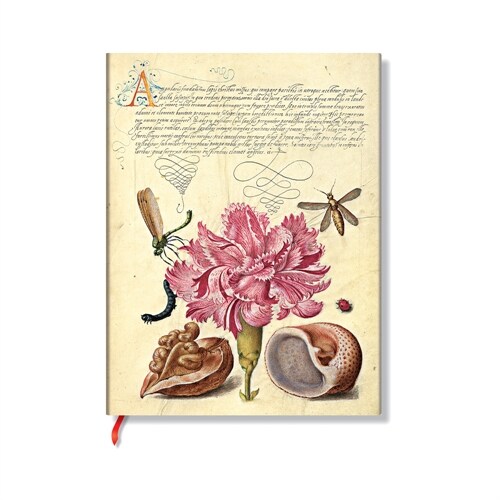 Paperblanks Pink Carnation Mira Botanica Softcover Flexis Ultra Lined Elastic Band 176 Pg 100 GSM (Other)