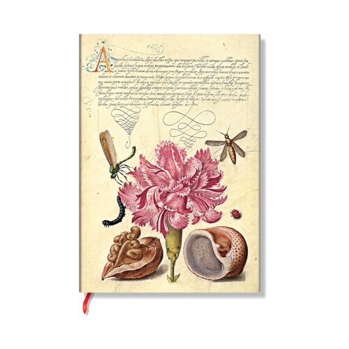 Paperblanks Pink Carnation Mira Botanica Softcover Flexis MIDI Unlined Elastic Band 176 Pg 100 GSM (Other)