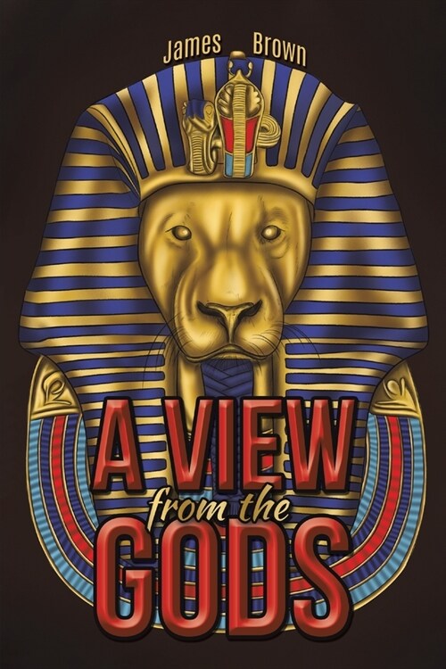 A View from the Gods (Paperback)