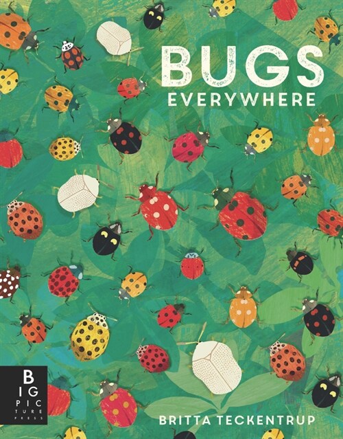 Bugs Everywhere (Paperback)