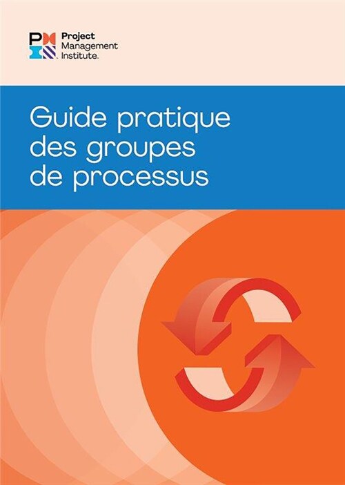 Process Groups: A Practice Guide (French) (Paperback)