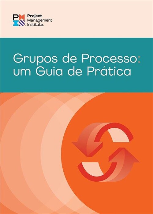 Process Groups: A Practice Guide (Brazilian Portuguese) (Paperback)