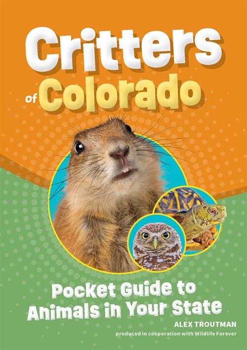 Critters of Colorado: Pocket Guide to Animals in Your State (Paperback)