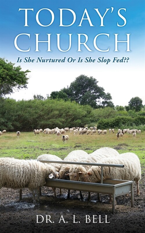 Todays Church Is She Nurtured Or Is She Slop Fed (Paperback)