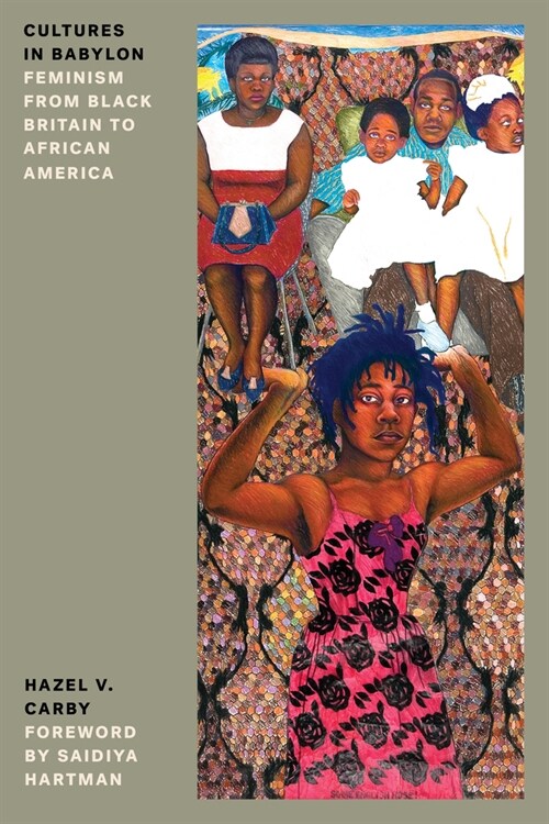 Cultures in Babylon : Feminism from Black Britain to African America (Paperback, New ed)