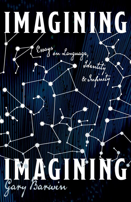 Imagining Imagining: Essays on Language, Identity and Infinity (Paperback)