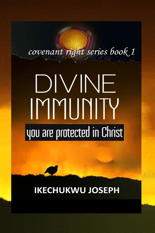Divine Immunity: You are Protected in Christ (Paperback)