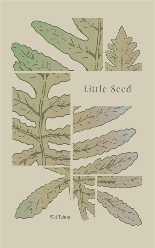 Little Seed (Paperback)
