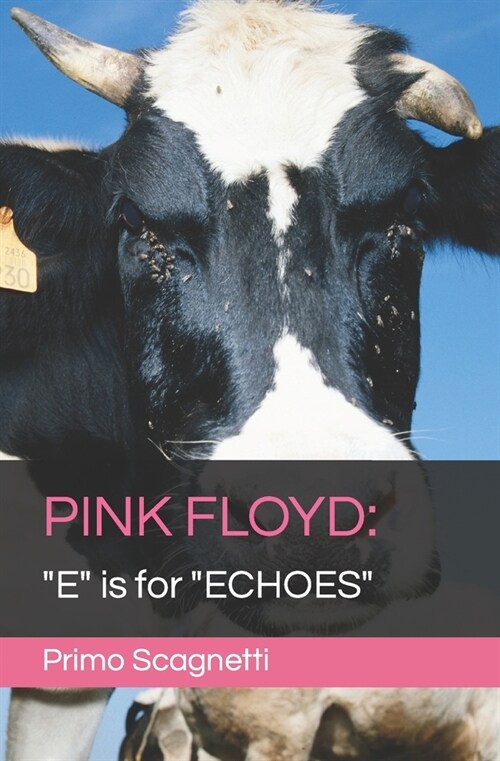 Pink Floyd: E is for ECHOES (Paperback)