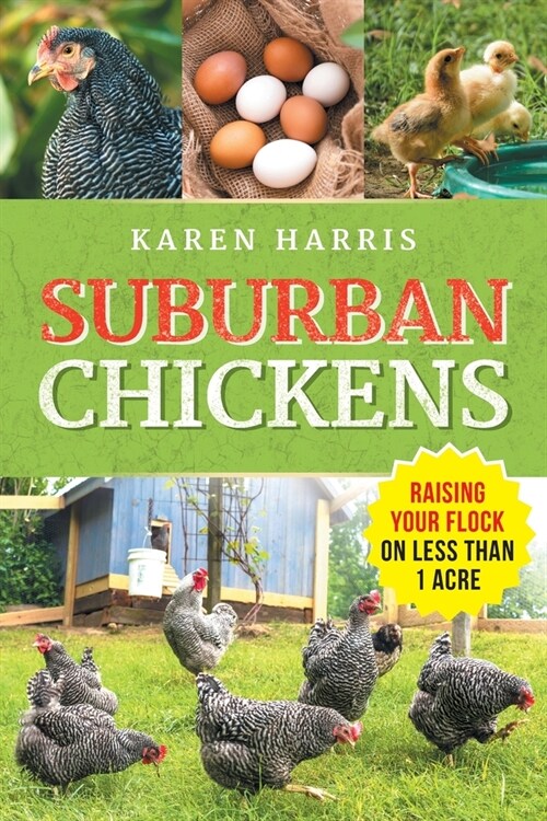 Suburban Chickens: Raising Your Flock on Less Than One Acre (Paperback)